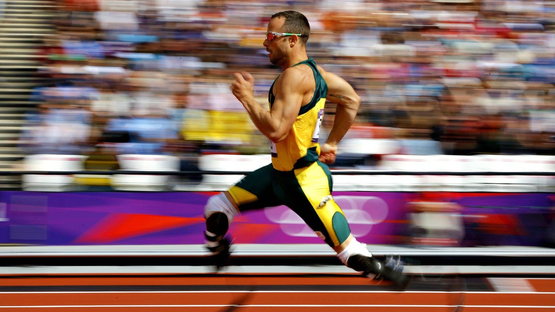 瑞士骑手马丁·福克斯在巴黎奥运会后成为马术协会主席，推动马术运动发展。